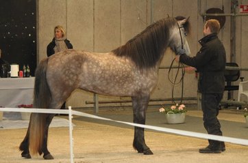 Von fra Gultentorp - Hrönn' halvsøster